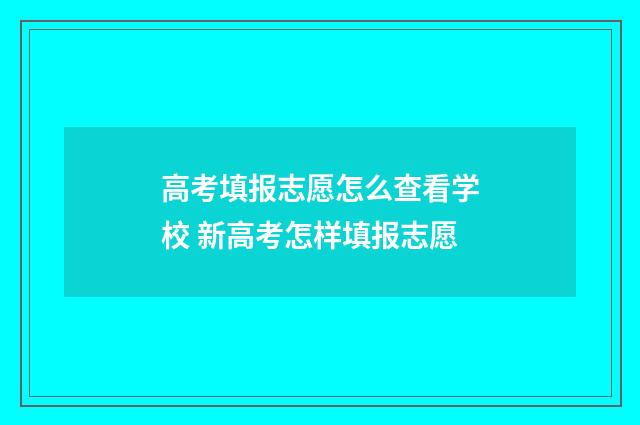 高考填报志愿怎么查看学校 新高考怎样填报志愿
