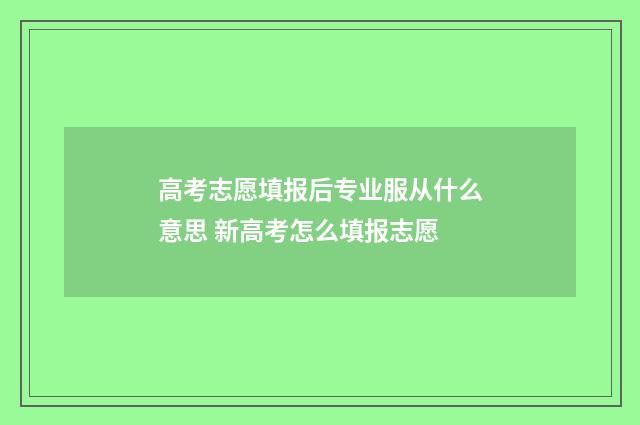 高考志愿填报后专业服从什么意思 新高考怎么填报志愿