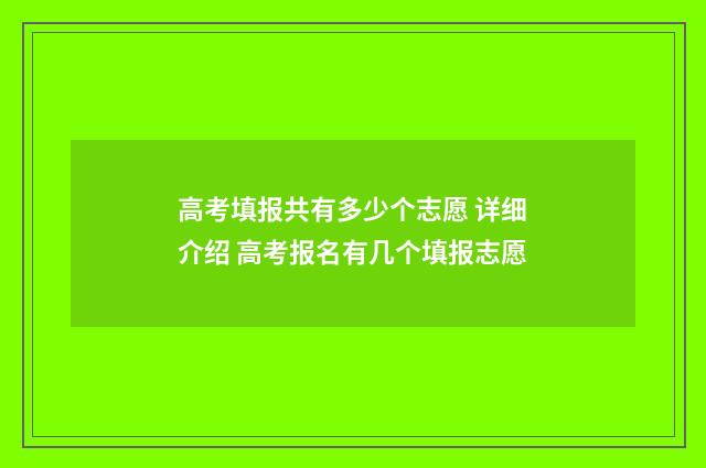 高考填报共有多少个志愿 详细介绍 高考报名有几个填报志愿