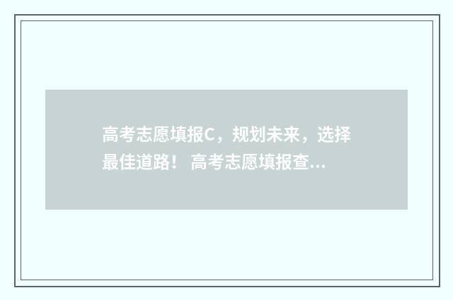 高考志愿填报C,规划未来,选择最佳道路! 高考志愿填报查询系统入口官网