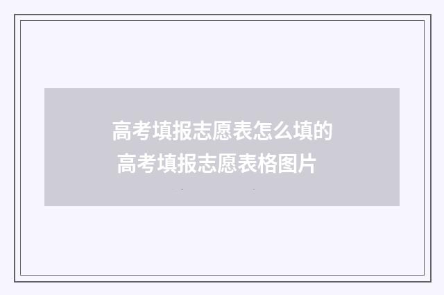 高考填报志愿表怎么填的 高考填报志愿表格图片
