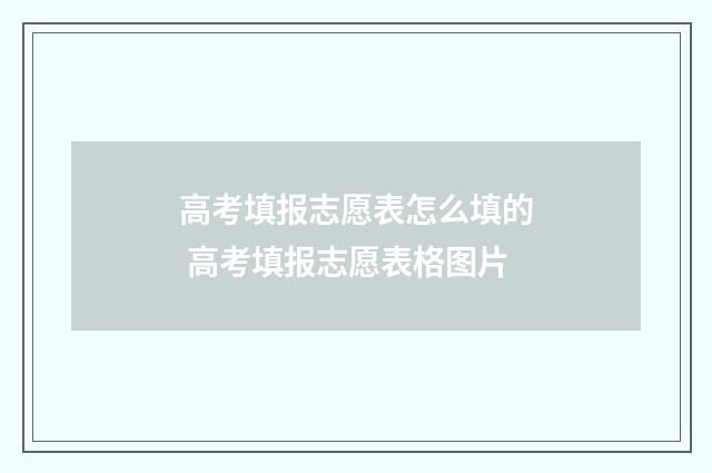 高考填报志愿表怎么填的 高考填报志愿表格图片