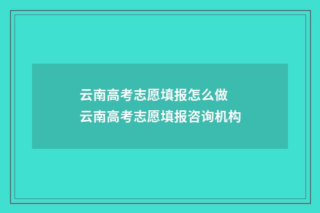 云南高考志愿填报怎么做 云南高考志愿填报咨询机构