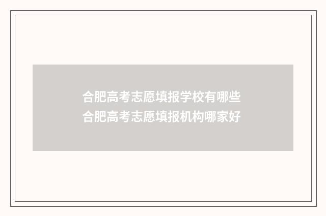 合肥高考志愿填报学校有哪些 合肥高考志愿填报机构哪家好