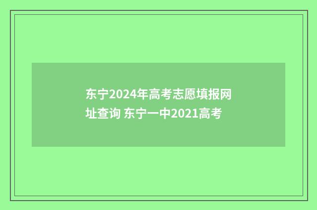 东宁2024年高考志愿填报网址查询 东宁一中2021高考