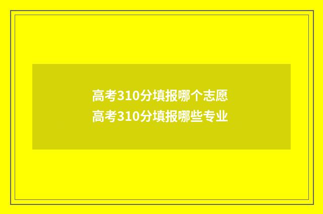 高考310分填报哪个志愿 高考310分填报哪些专业