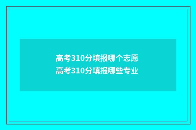 高考310分填报哪个志愿 高考310分填报哪些专业