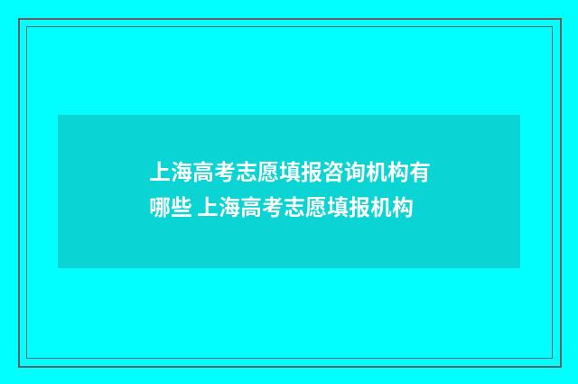上海高考志愿填报咨询机构有哪些 上海高考志愿填报机构