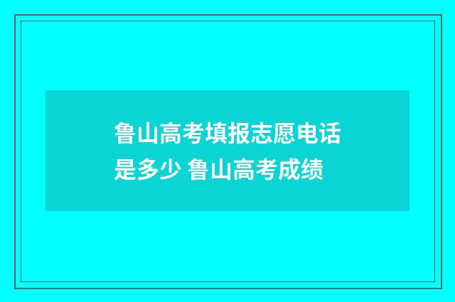 鲁山高考填报志愿电话是多少 鲁山高考成绩