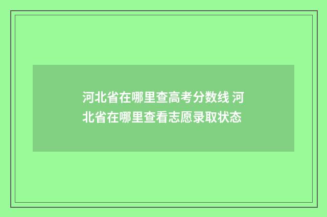 河北省在哪里查高考分数线 河北省在哪里查看志愿录取状态