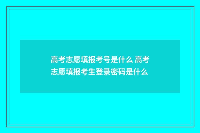 高考志愿填报考号是什么 高考志愿填报考生登录密码是什么