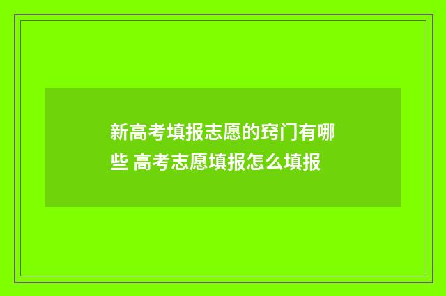 新高考填报志愿的窍门有哪些 高考志愿填报怎么填报