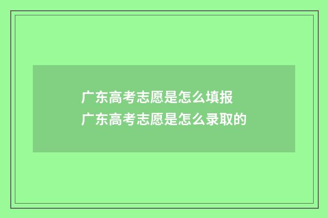 广东高考志愿是怎么填报 广东高考志愿是怎么录取的
