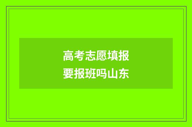 高考志愿填报要报班吗山东