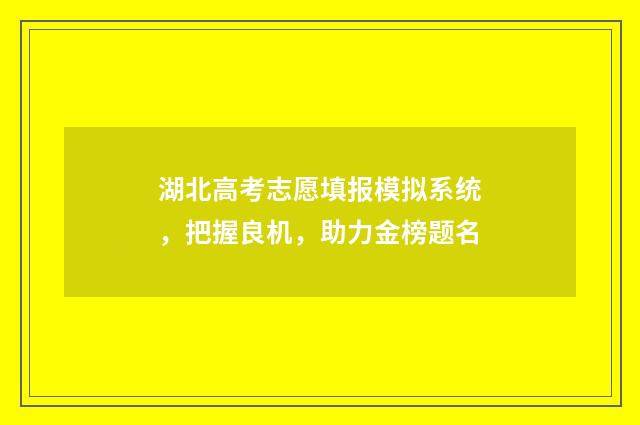 湖北高考志愿填报模拟系统,把握良机,助力金榜题名