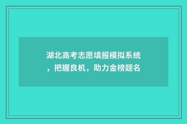 湖北高考志愿填报模拟系统，把握良机，助力金榜题名