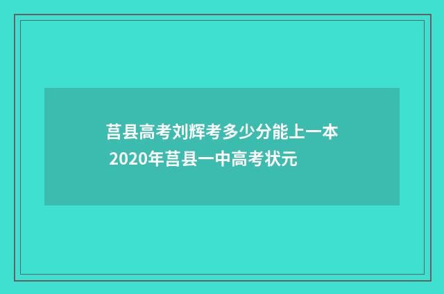 莒县高考刘辉考多少分能上一本 2020年莒县一中高考状元