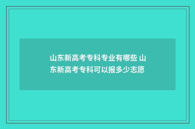 山东新高考专科专业有哪些 山东新高考专科可以报多少志愿