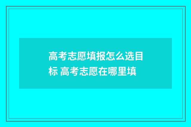高考志愿填报怎么选目标 高考志愿在哪里填
