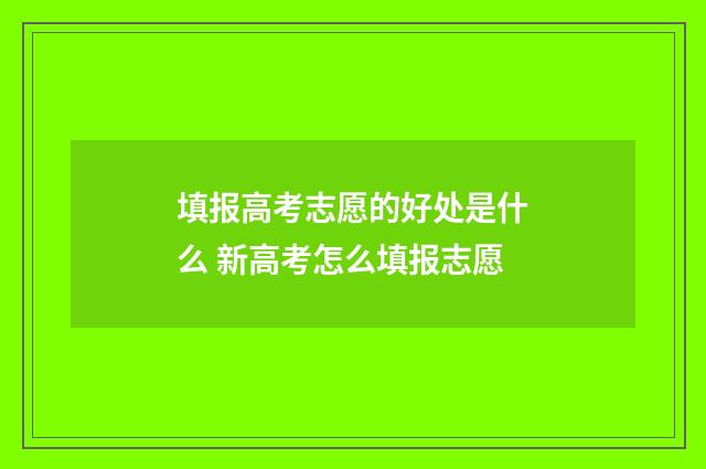 填报高考志愿的好处是什么 新高考怎么填报志愿