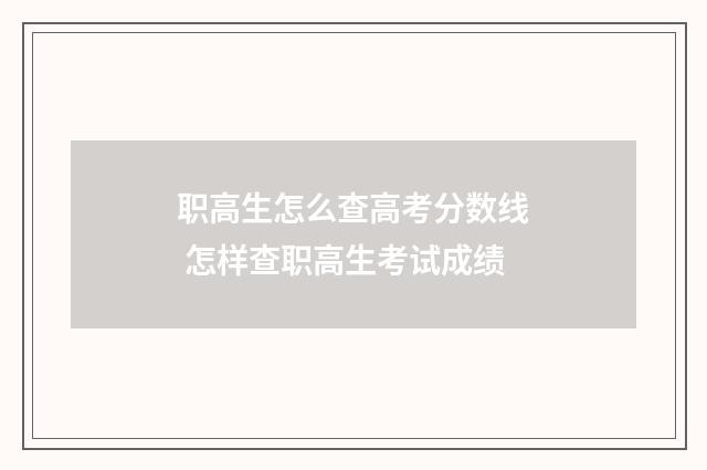 职高生怎么查高考分数线 怎样查职高生考试成绩