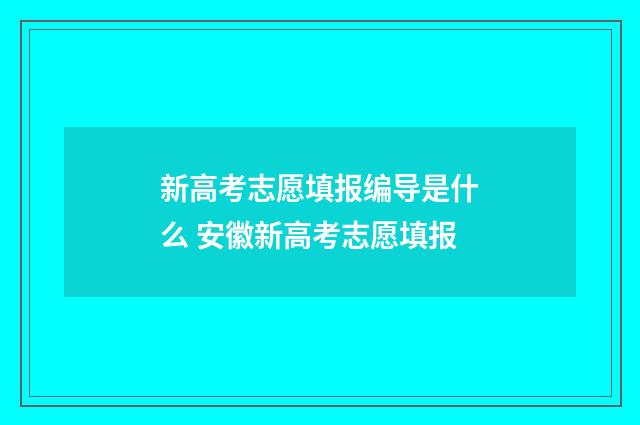 新高考志愿填报编导是什么 安徽新高考志愿填报