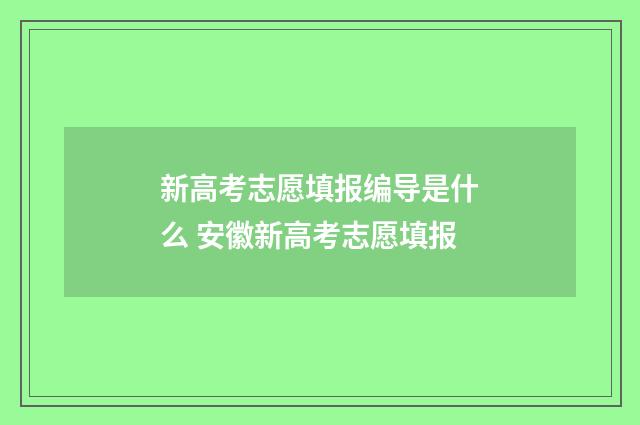 新高考志愿填报编导是什么 安徽新高考志愿填报