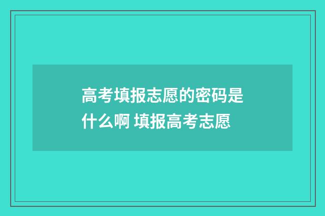 高考填报志愿的密码是什么啊 填报高考志愿