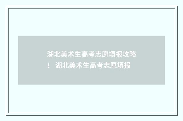 湖北美术生高考志愿填报攻略！ 湖北美术生高考志愿填报