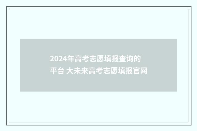 2024年高考志愿填报查询的平台 大未来高考志愿填报官网