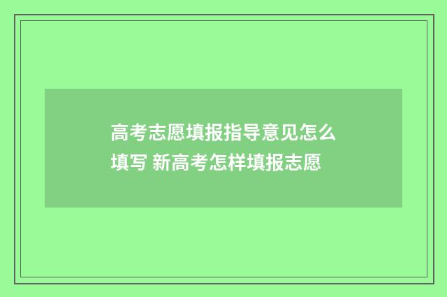 高考志愿填报指导意见怎么填写 新高考怎样填报志愿