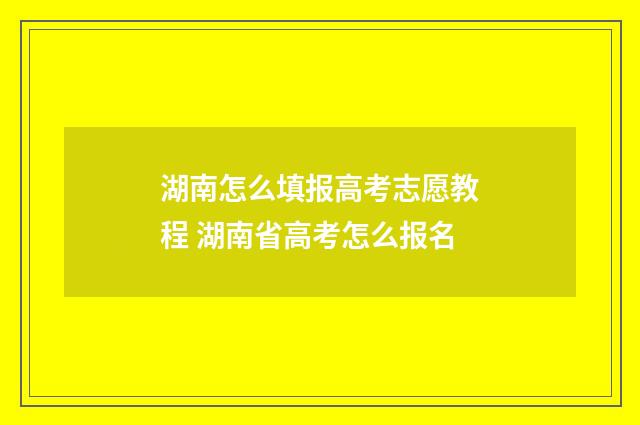 湖南怎么填报高考志愿教程 湖南省高考怎么报名