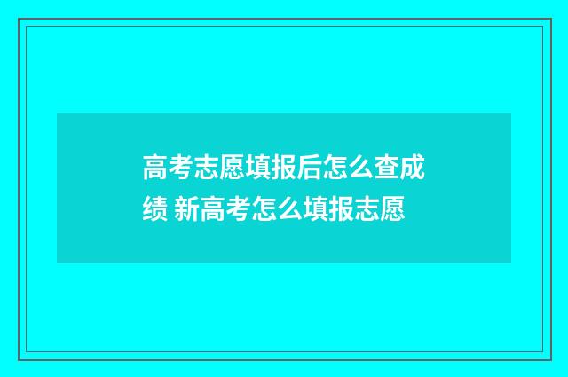 高考志愿填报后怎么查成绩 新高考怎么填报志愿