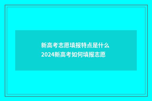 新高考志愿填报特点是什么 2024新高考如何填报志愿