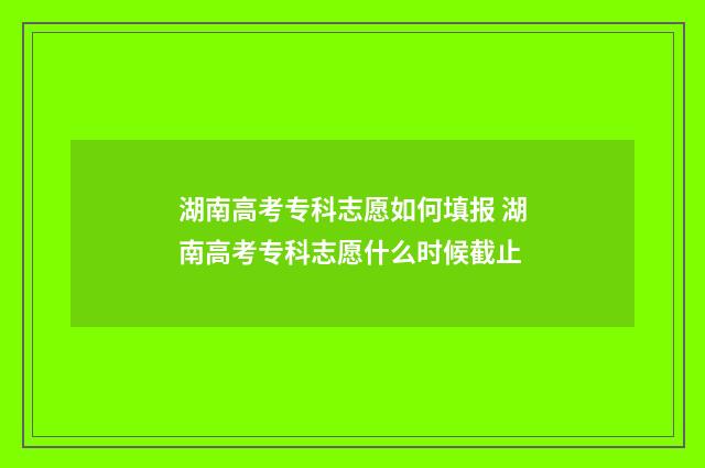 湖南高考专科志愿如何填报 湖南高考专科志愿什么时候截止