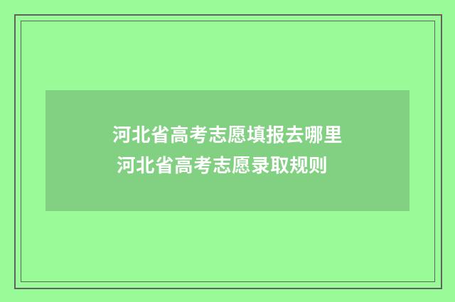 河北省高考志愿填报去哪里 河北省高考志愿录取规则