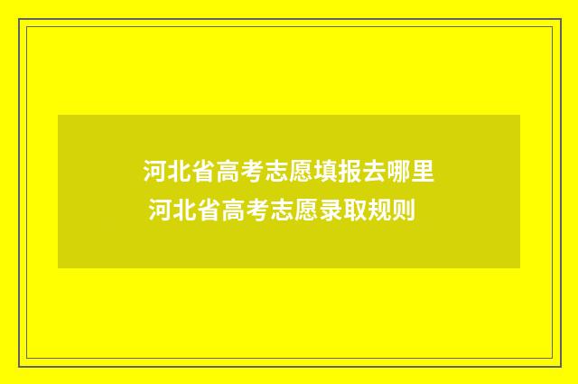 河北省高考志愿填报去哪里 河北省高考志愿录取规则
