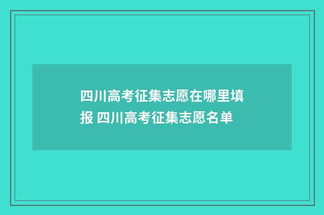 四川高考征集志愿在哪里填报 四川高考征集志愿名单