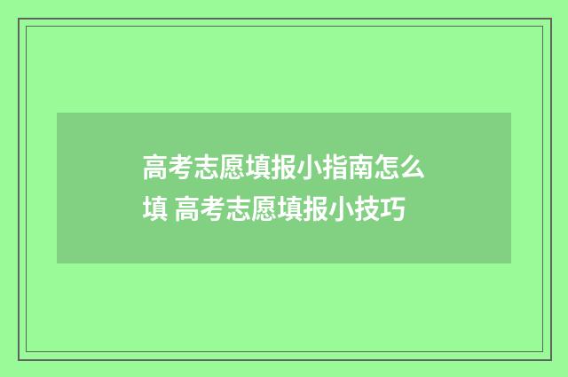 高考志愿填报小指南怎么填 高考志愿填报小技巧