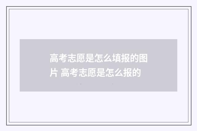 高考志愿是怎么填报的图片 高考志愿是怎么报的