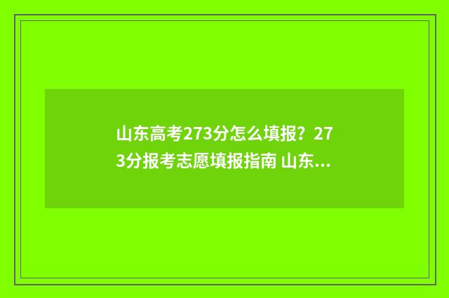 山东高考273分怎么填报？273分报考志愿填报指南 山东高考273分怎么样啊