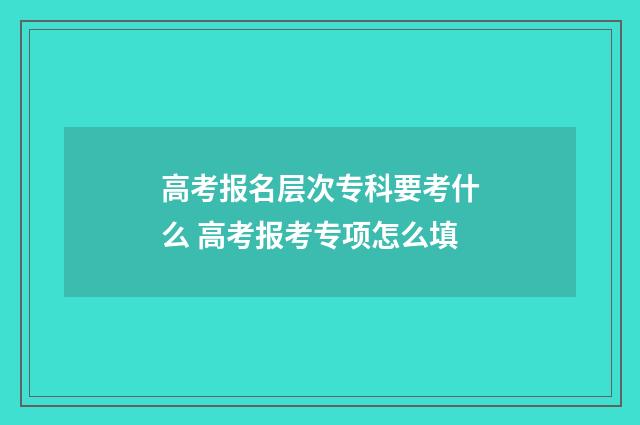 高考报名层次专科要考什么 高考报考专项怎么填