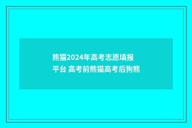 熊猫2024年高考志愿填报平台 高考前熊猫高考后狗熊