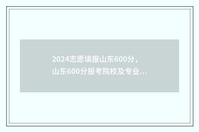2024志愿填报山东600分，山东600分报考院校及专业推荐 2020年山东填报志愿的时间