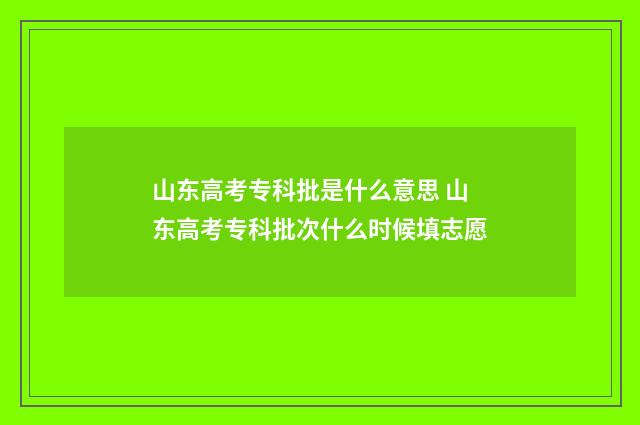 山东高考专科批是什么意思 山东高考专科批次什么时候填志愿