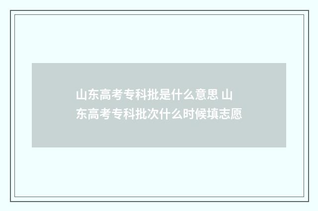 山东高考专科批是什么意思 山东高考专科批次什么时候填志愿