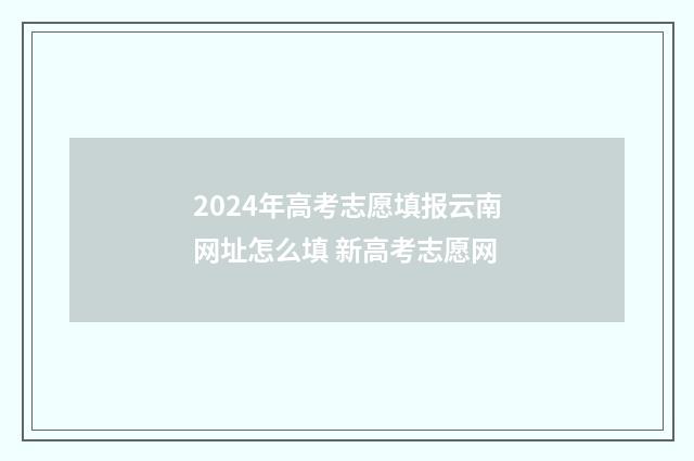 2024年高考志愿填报云南网址怎么填 新高考志愿网