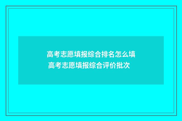 高考志愿填报综合排名怎么填 高考志愿填报综合评价批次