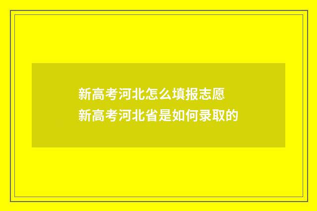 新高考河北怎么填报志愿 新高考河北省是如何录取的