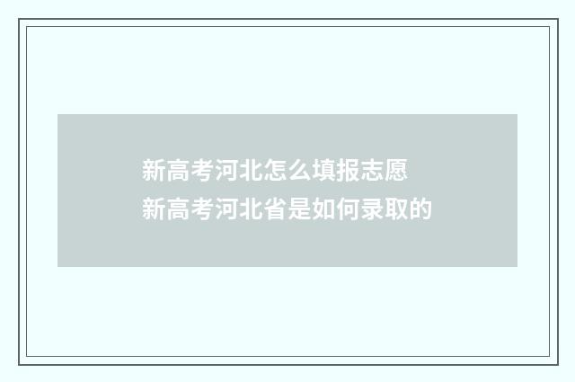 新高考河北怎么填报志愿 新高考河北省是如何录取的